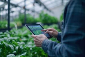 agriculteur-persona